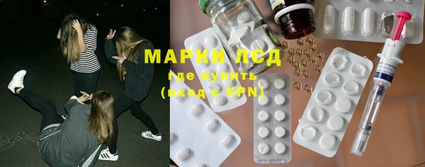 индика Алексин