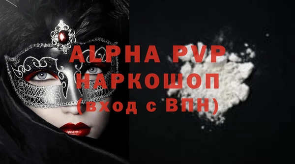 индика Алексин