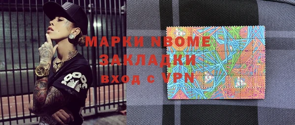 индика Алексин