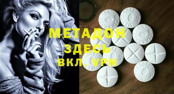 индика Алексин
