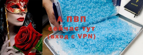индика Алексин