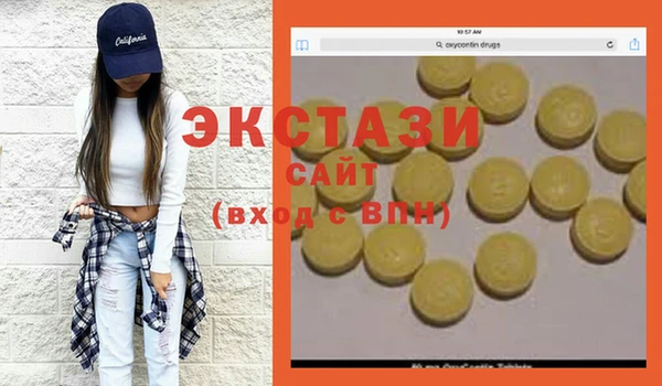 индика Алексин
