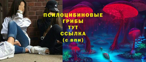 прущий лед Алексеевка