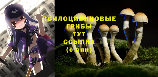 кристаллы Абинск