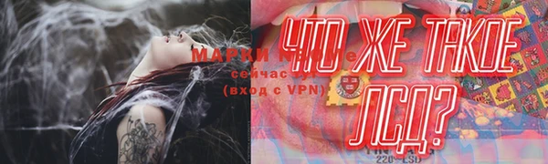 индика Алексин