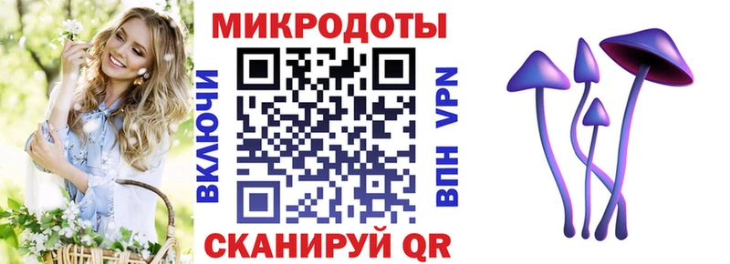 Псилоцибиновые грибы Psilocybe  купить наркотики цена  Щёкино 
