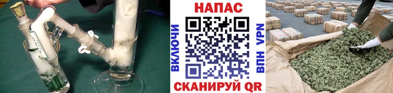 Каннабис Ganja Щёкино